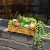 Import 12 PCS Artificial Succulent Plants,Faux  Succulents for Home Decoration from China