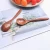 Import 16.8x4cm Natural Wood Spoon Coffee Tea Soup Sugar Honey Dessert Appetizer Seasoning Bistro Small Wooden Spoons for Kids from China