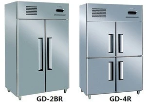 2 door Free standing Kitchen Refrigerator Freezer For Restaurant
