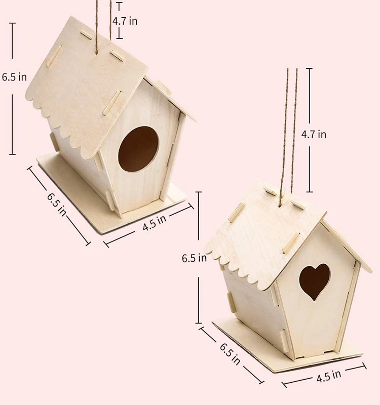 2 Pack DIY Bird House Kit, Build and Paint Backyard Wooden Birdhouse