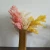 Import 2020 best popular preserved flower fashionable preserved Asparagus myrioeladus for  home or wedding decoration from China