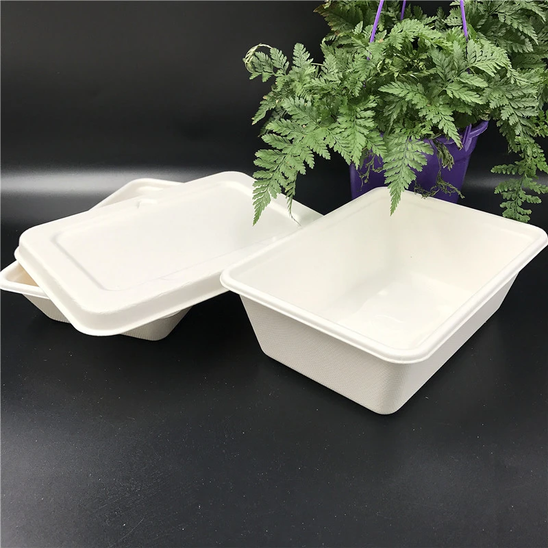 2020 eco disposable tableware 800ml biodegradable pure sugarcane meat tray bagasse food tray with lid