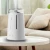 Import 2020 sample order home electric air freshener diffuser humidifier from China