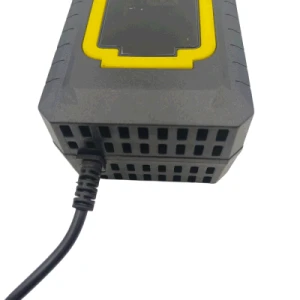 48V3A48V20ah/White Black Factory Wholesale Output Crocodile Clamp Available/AC DC Customize Power Adapter
