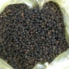 500 - 550 - 580 g/l Vietnam Black Pepper
