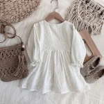 5642/Spring and summer a-line dress for children baby  and princess flower lace dress girl casual dress