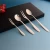 Import 6pcs fork set from China