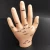 Import Acupuncture hand model pvc material 13cm medical product from China