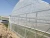 Import agricultural fram used greenhouse frames for sale from China