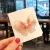 Import ALWY0015  Wholesale Korea Style Hair Clamps Barrettes Flower Design Women Hair Accessories hair clips from China