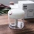 Import Amazon hot sell mini manual meat grinder + 2pcs knife blender +170ML meat mincer machine from China