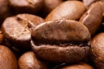 Arabica Coffee Beans