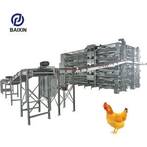 Automatic broiler chicken cage Automatic Quail Cage For Laying Hens