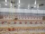 Import Automatic poultry equipment for restaurant chicken feeding system in farm from China