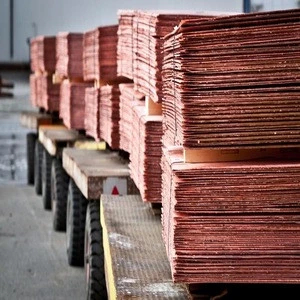 Available quality copper cathode with cheap price in China distributor / wholesaler