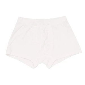 Baifei Custom Kids Underwear Wholesale Plain Fabric Underwear Kids For Boy Briefs Super Soft Breathable Bamboo Kids Underwear