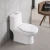 Import Bathroom floor mounted water saving 300mm S trap PP soft closing seat cover one piece dual flush  siphonic round ceramic toilet from China