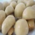 Import Best canned whole button mushroom 425g from China