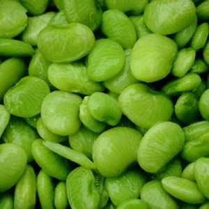 Best Price Large Lima Beans