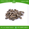 Best Quality Castor Seeds Supplier India | Castor Oil seeds bulk supply from india | High Quality  Castor Seed Suppliers