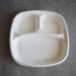 Biodegradable disposable plate paper plate food grade green sugarcane bagasse plate