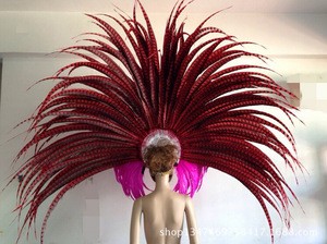 Brazil Carnival feather headpiece