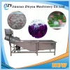 Bubble Type Vegetable Washer/Widely Used Industrial Bubble Washing Vegetable Washer