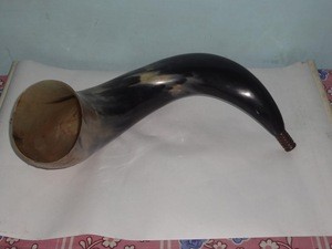 buffalo Horn Trumpet
