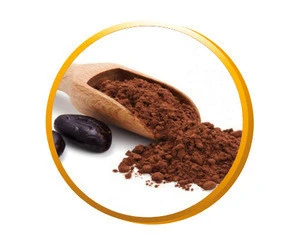 Bulk dutch processed pure Alkalized cocoa powder vietnam