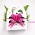 Butterfly bow made of  Five iridescent stripes on the glitter ribbon Romantic butterfly decoration for wedding cake package