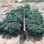 Import Camouflaged telecommunication artificial pine tree tower from China
