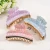 Import Candy Colors Large Women Bath Hair Accessory Acrylic Hair Banana Claw Clips Bling Strips Beach Hair Clips from China