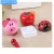 Import Cartoon Vegetable Shape Kitchen Cooking Timer 60 Minutes Mechanical Movement Timer Cute Kitchen Timer switch from China