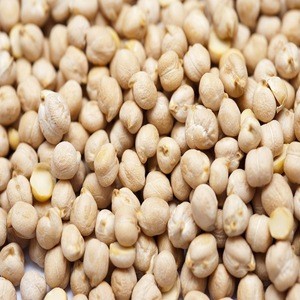 Chickpeas For Sale