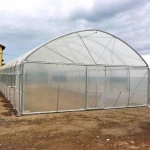 China low cost single-span tunnel Greenhouse with  Film