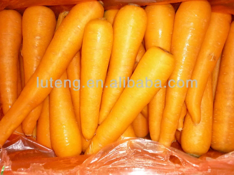 China sell fresh carrots to japan
