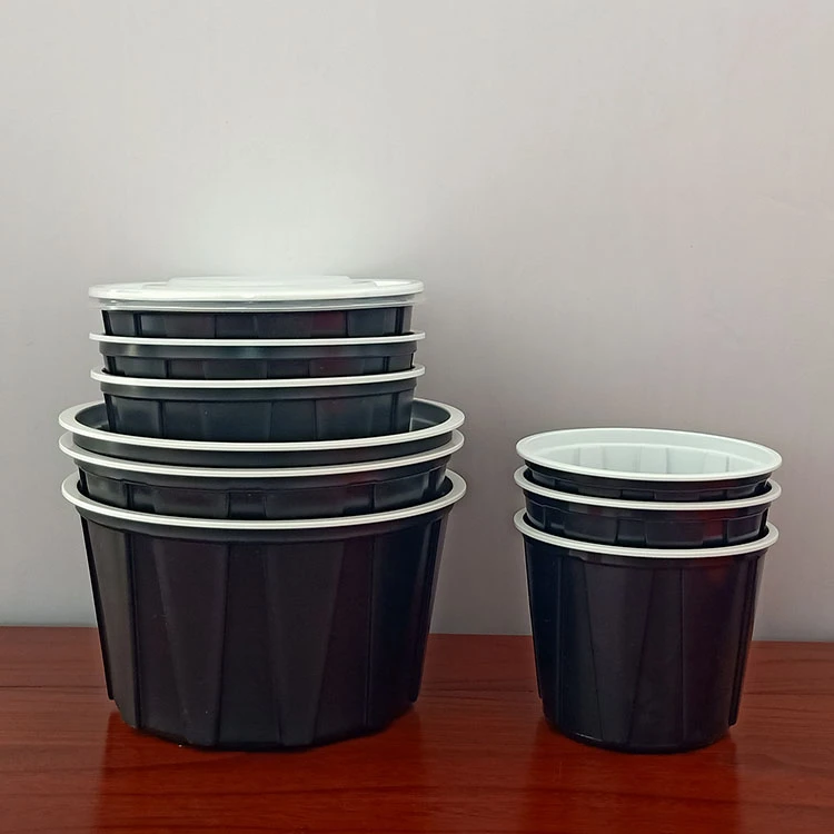 China supplier 1750ml soup bowl takeaway containers disposable hot big soup bowl with lid