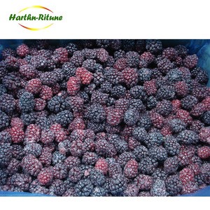 Chinese Export Standard Iqf Fresh Blackberry Fruits Frozen