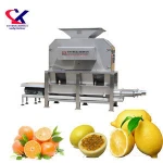 Citrus Orange Juicer Machine Industrial Fruit Juice extractor Orange juice extracting machine