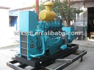 CNG natural gas generator for sale