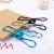 Colorful 316 Stainless Steel Metal Strong Clothes Peg For Home Laundry Office Use