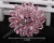 Import Crystal Brooch vintage style in Silver with Pin back Good for broach bouquets rhinestone brooch from China