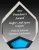 Import custom acrylic award trophy blank in plastic crafts from Hong Kong