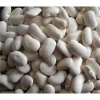 Customizable packaging natural white kidney beans price Egypt