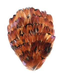Decorative P-105 Natural Feather Pads with Beads Pheasant  feather pad