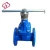 Import DN50 TO DN 200 PN10 PN16 PN25 Casting Iron Encrypt Lock Gate Valves from China