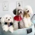 Import Dog Clothes Pet Accessories Luxury Wraps Pet Scarf 2020 New Design Cute Dog Accessories Dog Clothes Wholesales Pet Supplies from China