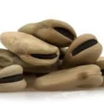Dried Broad Beans