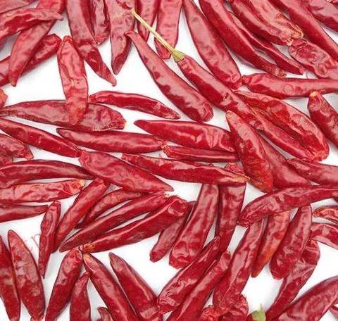 Dried Rodo Pepper Buy Dry Sweet Red Pepper /whole Sweet Paprika Pods Dried Red Chili from ...