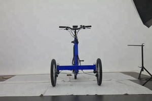 Import Electric 2 Wheel Adult Cargo Tricycle With Front Two Wheel For